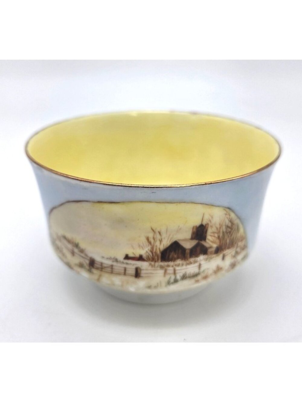Antique Porcelain Chawan Japanese Tea Bowl Yellow